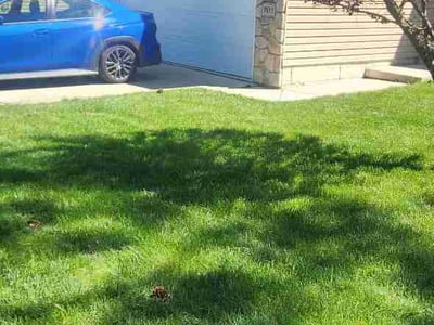 Lawn Care service in Cheney, 99004