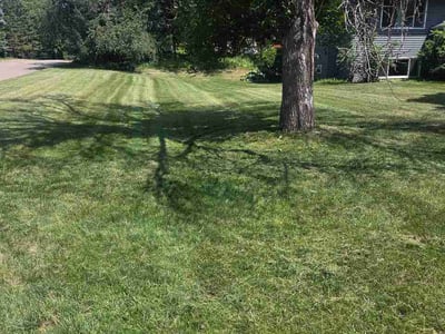 Lawn Care service in Champlin, 55316