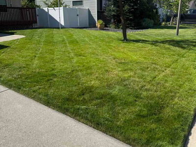 Lawn Care service in Cheney, 99004