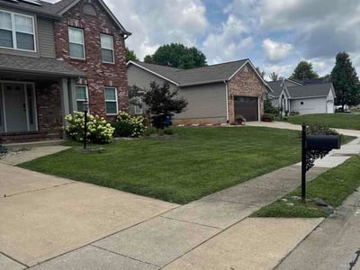 Lawn Care service in Edwardsville, 62025