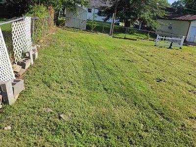 Lawn Care service in Edwardsville, 62025