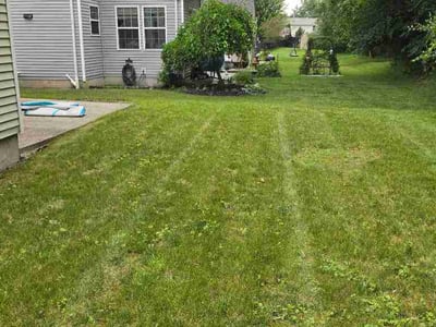 Lawn Care service in Queensbury, 12804