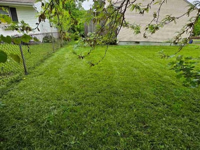 Lawn Care service in Burke, 22015