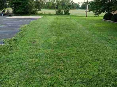 Lawn Care service in Collinsville, 62234