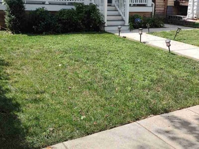 Lawn Care service in Burke, 22015