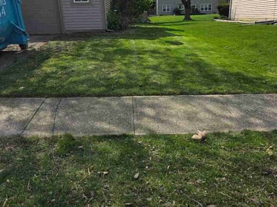 Lawn Care service in Jeffersonville, 47130