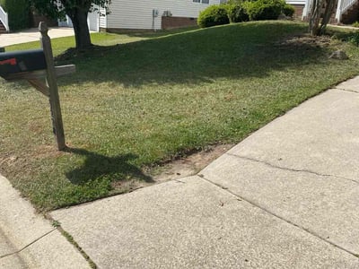 Lawn Care service in Tracy, 95376
