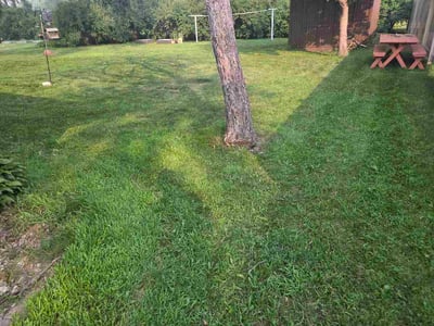 Lawn Care service in Saint Cloud, 56301