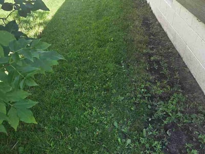 Lawn Care service in Saint Cloud, 56301