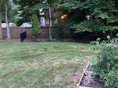 Lawn Care service in Manteca, 95336