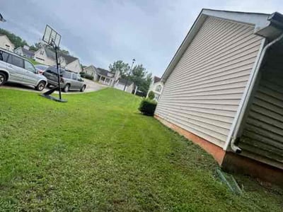 Lawn Care service in Manteca, 95336