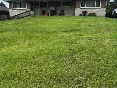 Lawn Care service in Saint Ann, 63074