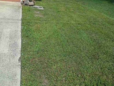 Lawn Care service in Satellite Beach, 32937