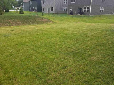 Lawn Care service in Terre Haute, 47807
