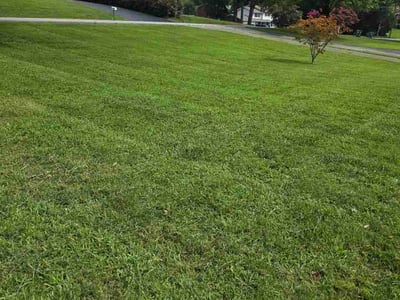 Lawn Care service in Maryville, 37804