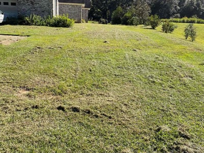 Lawn Care service in Havana, 32333
