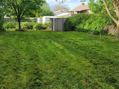 Lawn Care service in Sandy, 84092