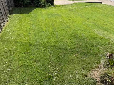 Lawn Care service in Carnegie, 15106