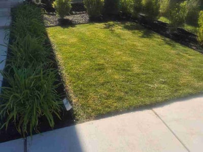Lawn Care service in South Jordan, 84095
