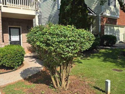 Lawn Care service in Windham, 03087