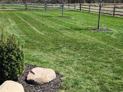 Lawn Care service in Perrysburg, 43551