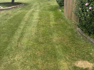 Lawn Care service in Perrysburg, 43551