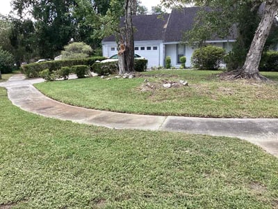 Lawn Care service in North Miami Beach, 33162