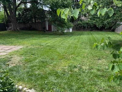 Lawn Care service in Mission, 66202