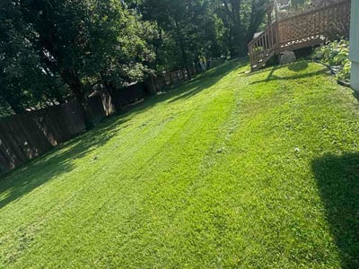 Lawn Care service in Prairie Village, 66208