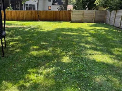 Lawn Care service in Prairie Village, 66208