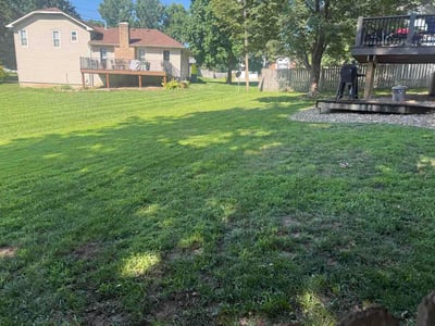 Lawn Care service in Prairie Village, 66208