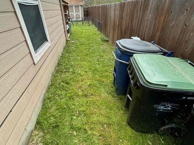 Lawn Care service in San Jacinto, 92583