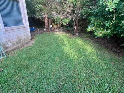 Lawn Care service in San Pedro, 90731