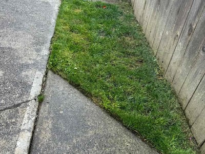 Lawn Care service in Gig Harbor, 98335