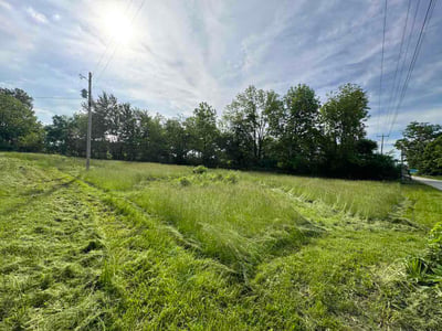 Lawn Care service in Franklin, 46131