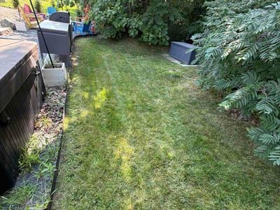 Lawn Care service in Franklin, 46131
