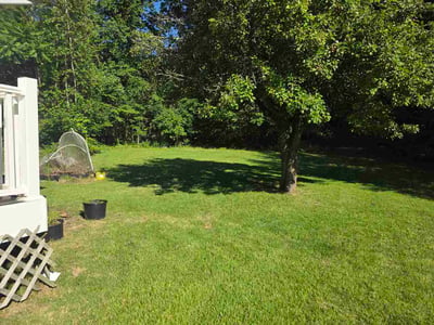 Lawn Care service in Ansonia, 06401