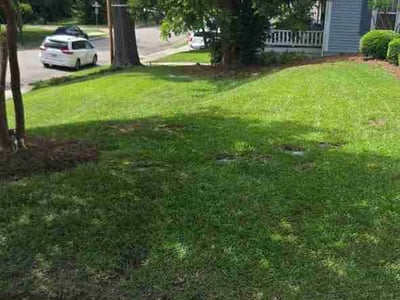 Lawn Care service in Shallotte, 28470