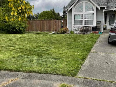 Lawn Care service in Graham, 98338