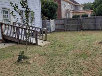 Lawn Care service in Londonderry, 03053