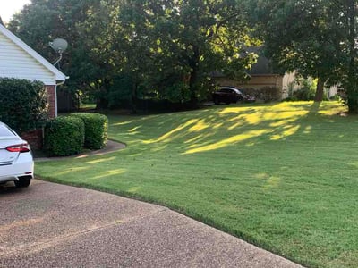 Lawn Care service in Hernando, 38632