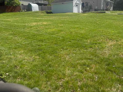 Lawn Care service in Lincoln, 02865