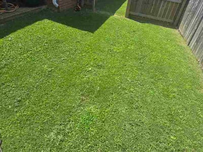 Lawn Care service in Hernando, 38632