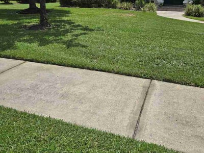 Lawn Care service in Berlin, 06037