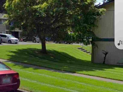 Lawn Care service in Graham, 98338