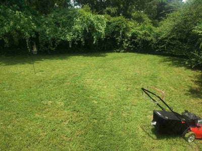 Lawn Care service in Hernando, 38632