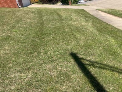 Lawn Care service in Swansea, 02777