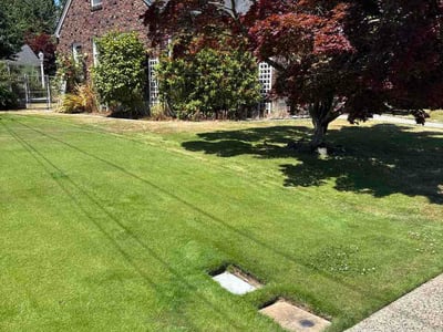 Lawn Care service in Graham, 98338