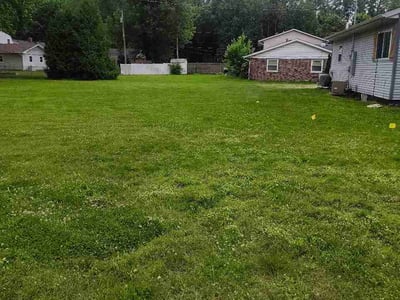 Lawn Care service in Chesterton, 46304