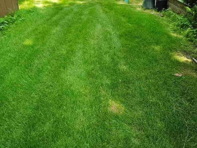 Lawn Care service in Chesterton, 46304